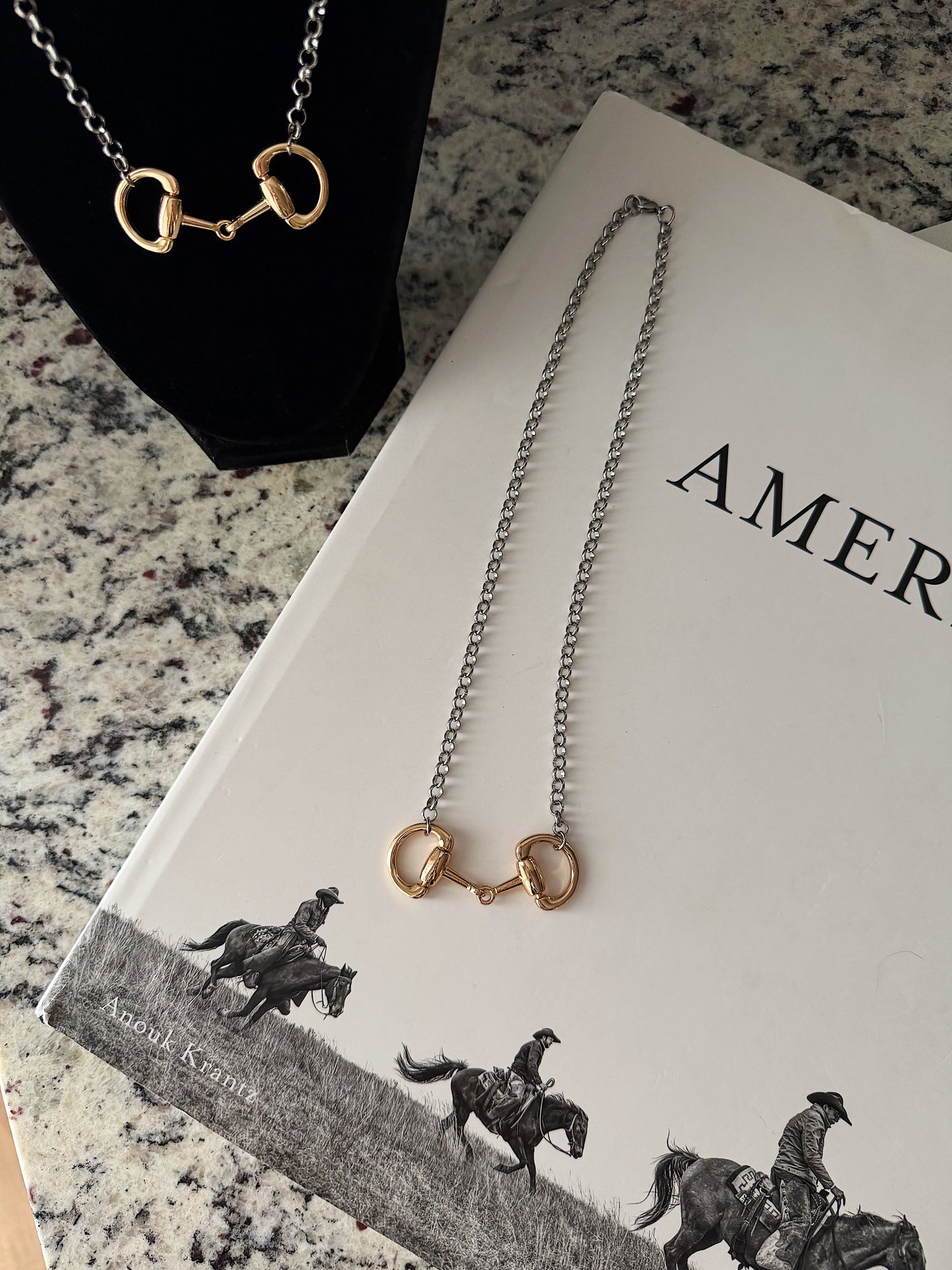 Mixed Metal Snaffle Bit Necklace