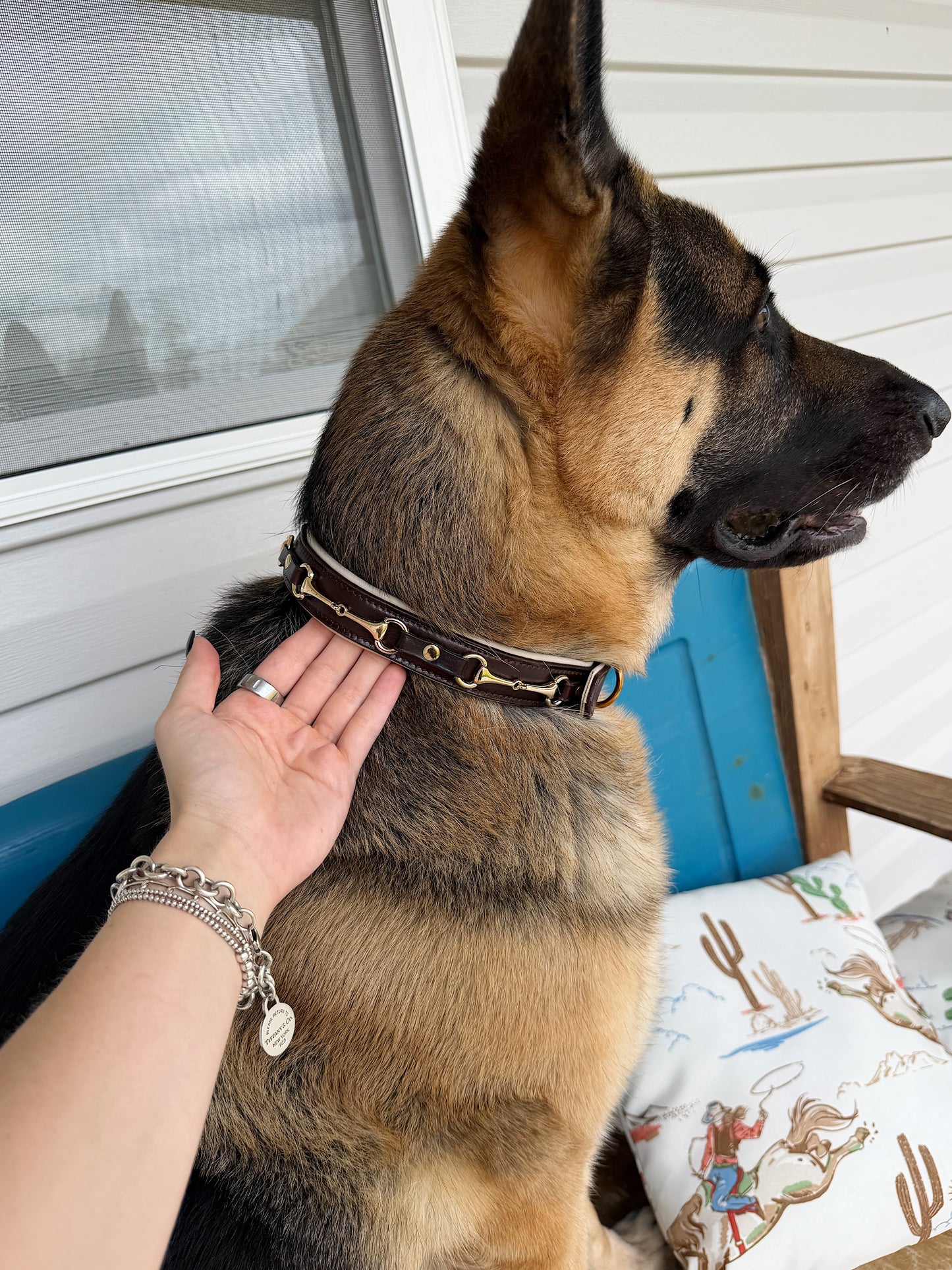 Snaffle Bit Dog Collar