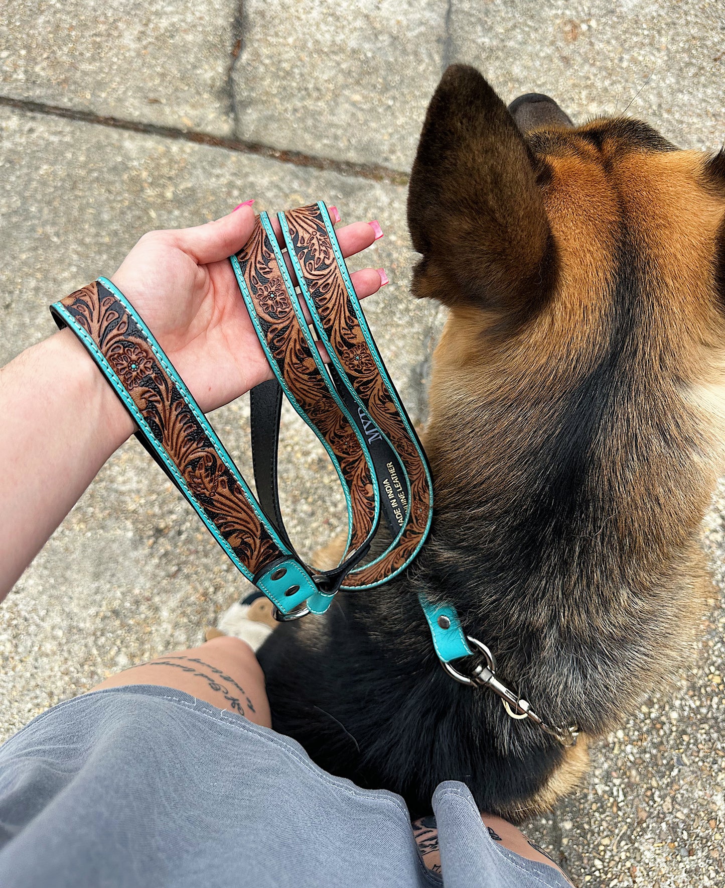 The Diesel Dog Leash