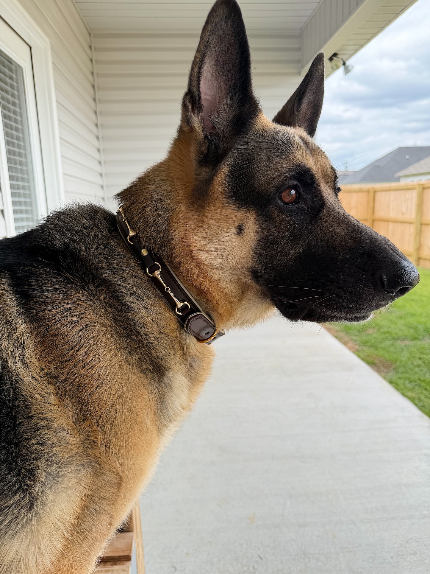 Snaffle Bit Dog Collar