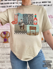 Load image into Gallery viewer, Being Insane Collage Tee or Crewneck
