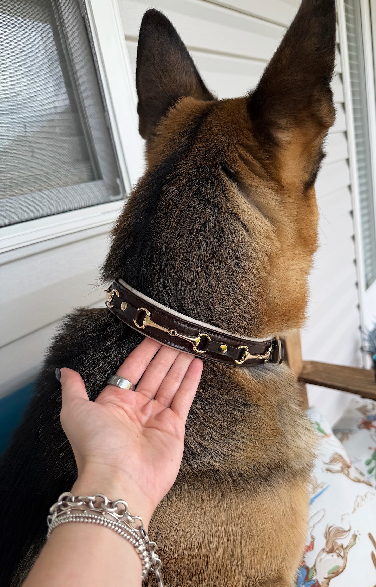 Snaffle Bit Dog Collar