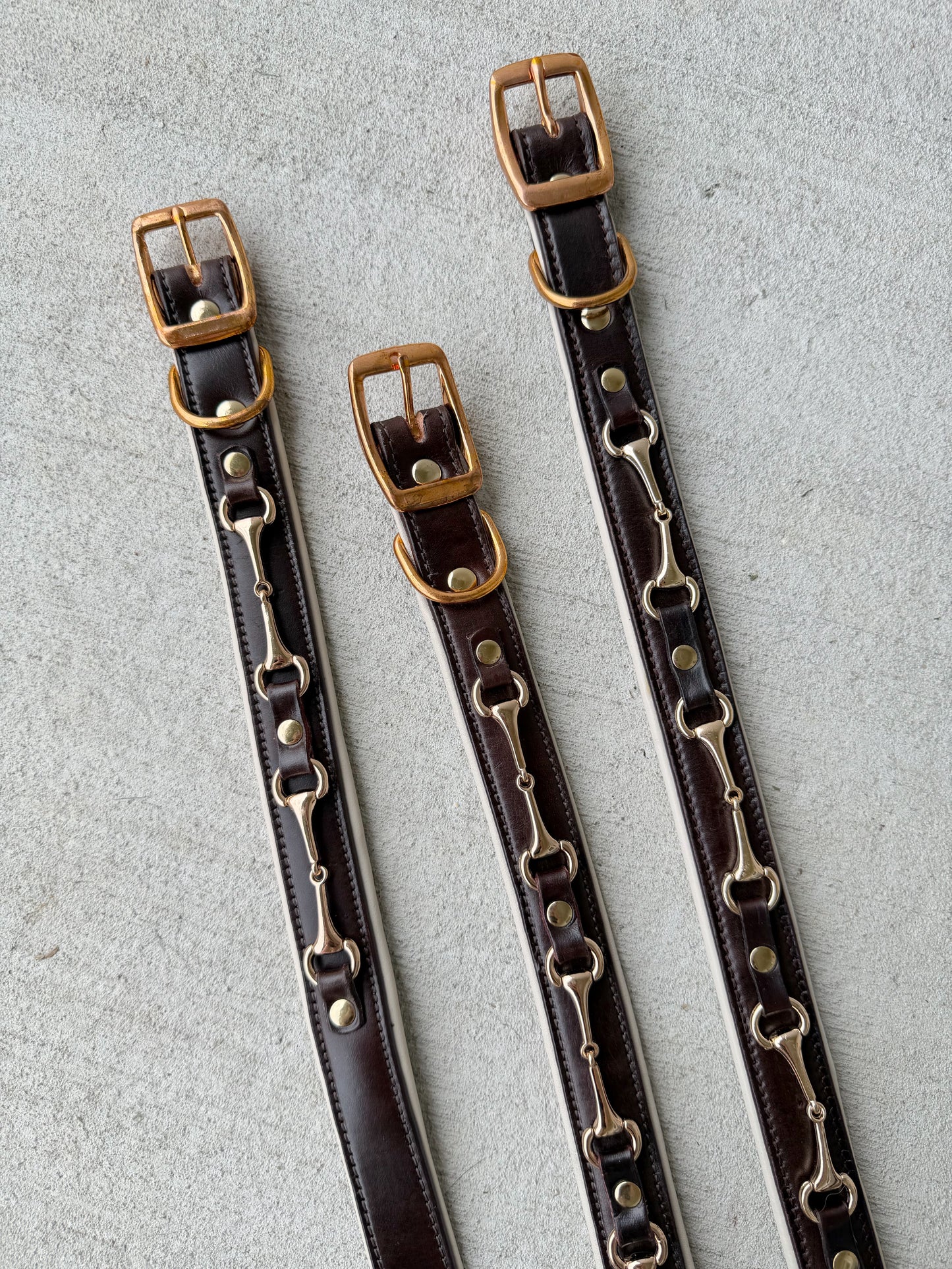 Snaffle Bit Dog Collar