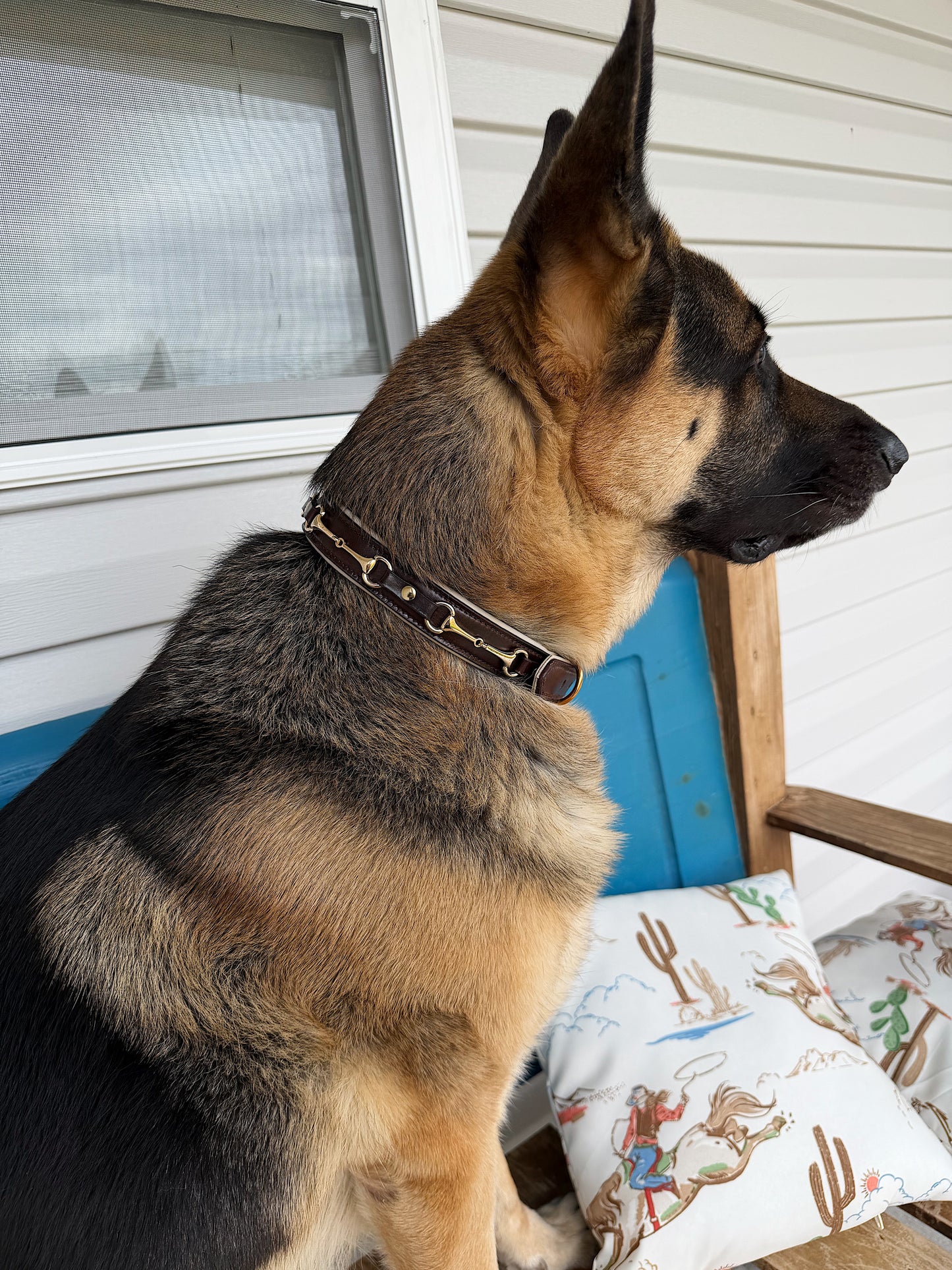 Snaffle Bit Dog Collar