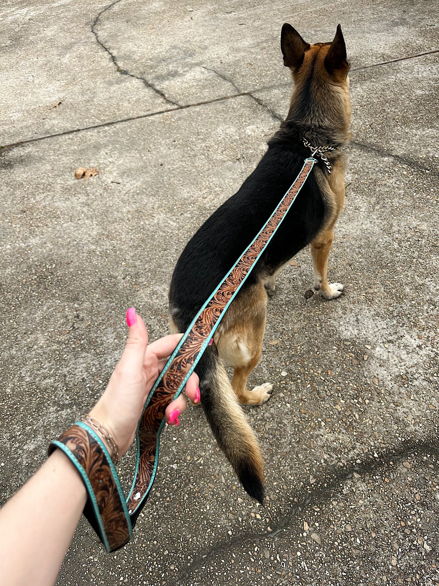 The Diesel Dog Leash