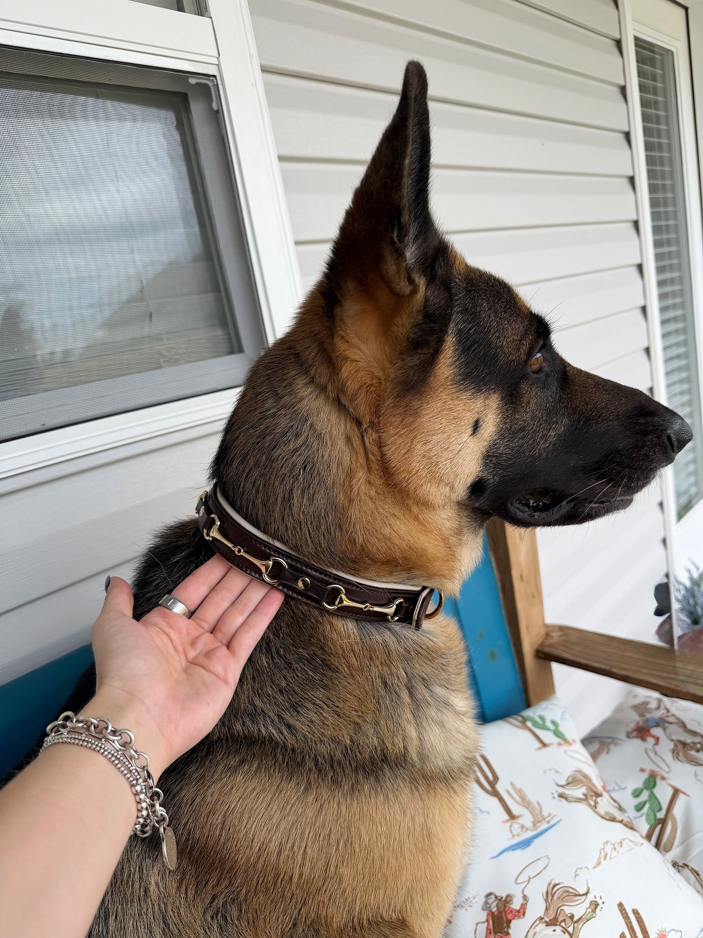 Snaffle Bit Dog Collar