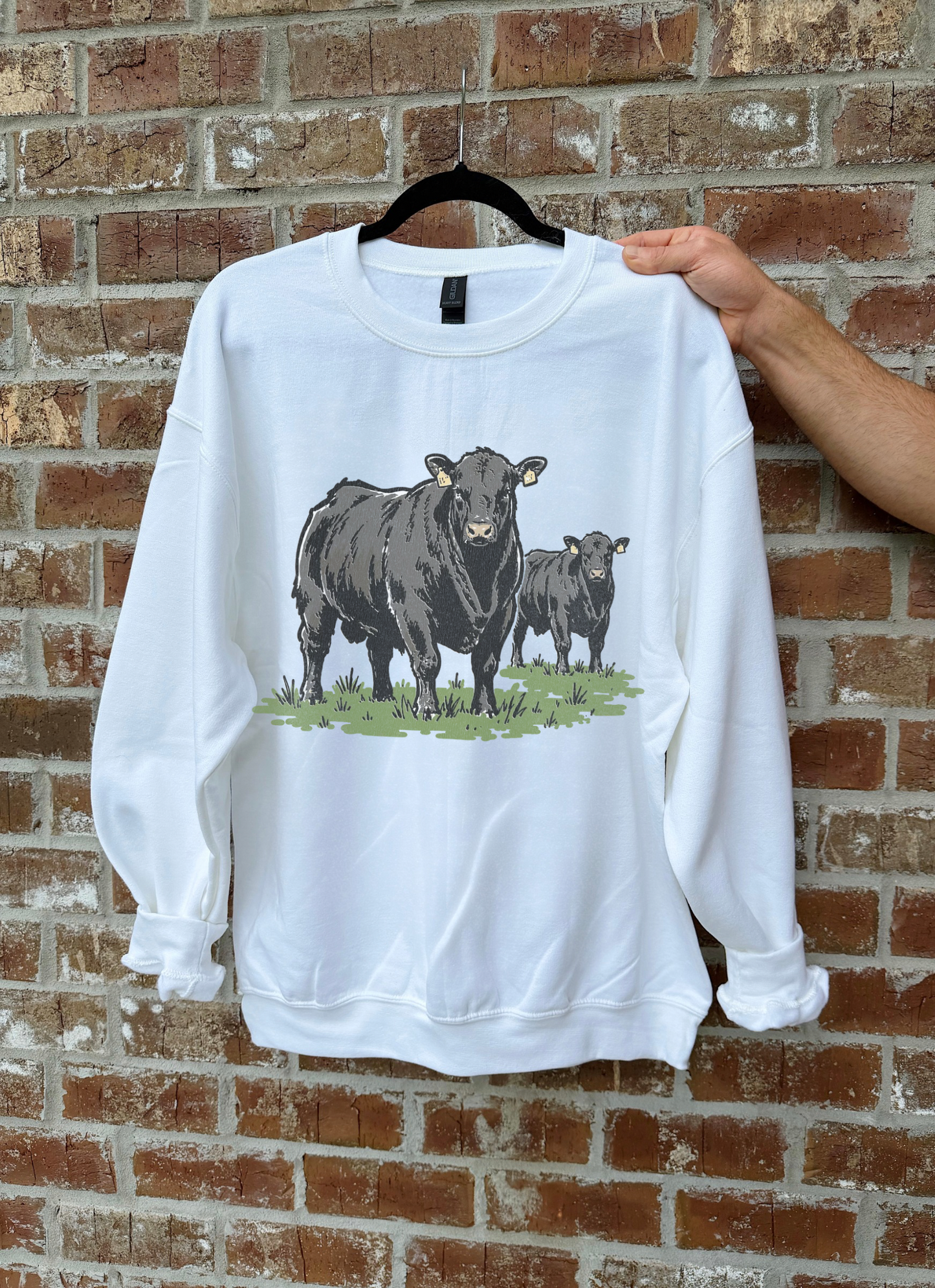 Angus Cow TEE or CREWNECK