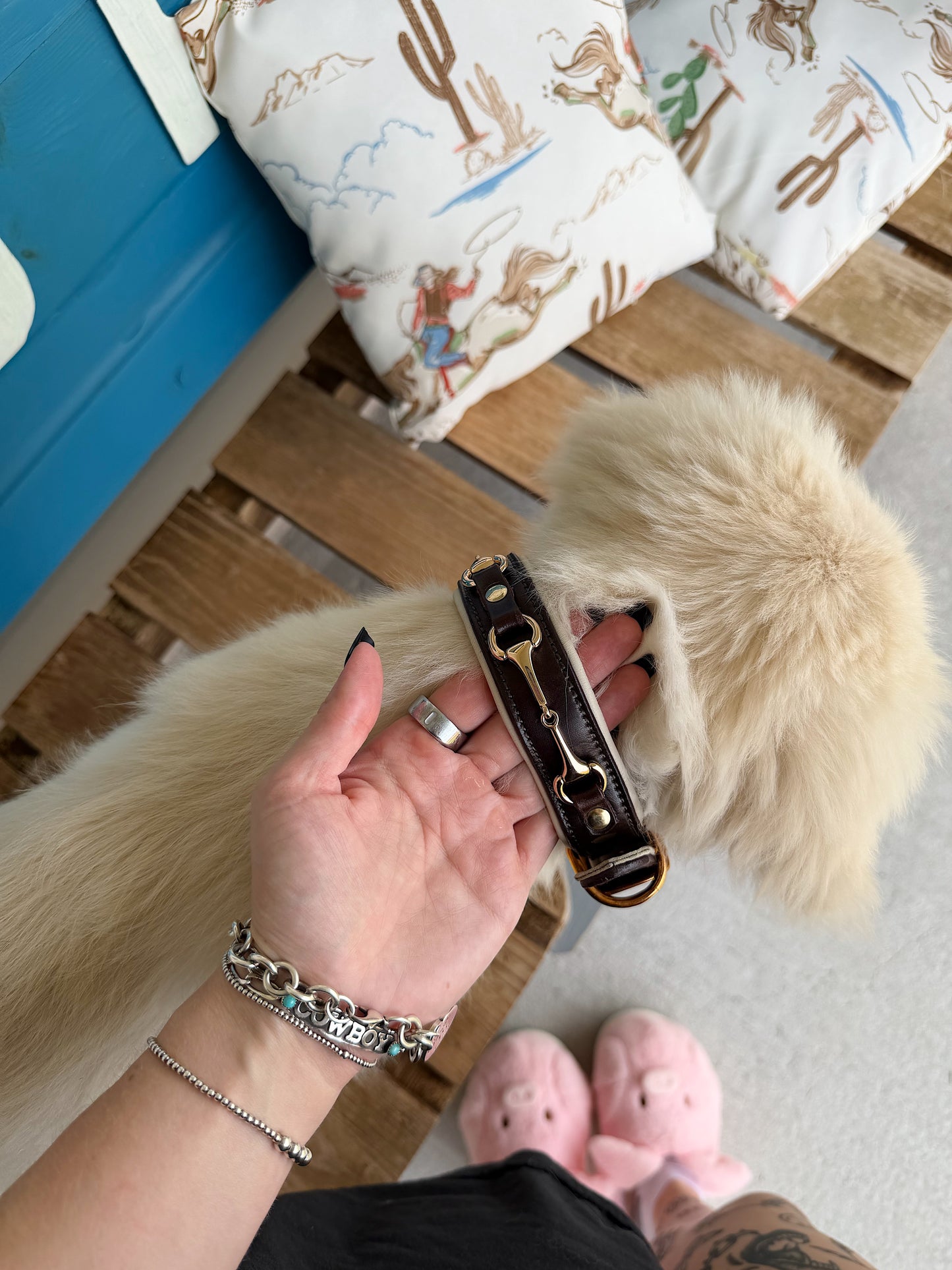 Snaffle Bit Dog Collar