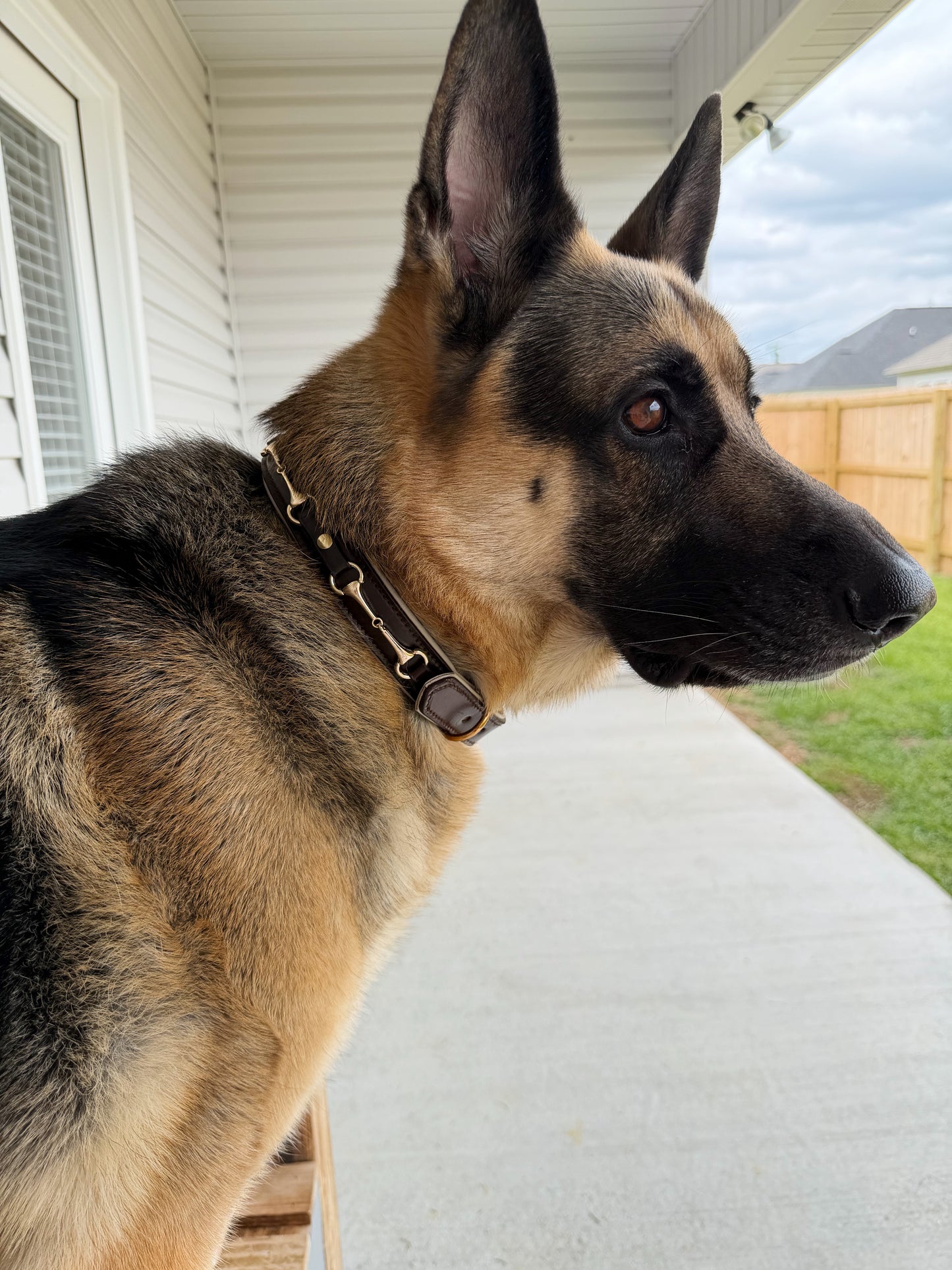 Snaffle Bit Dog Collar
