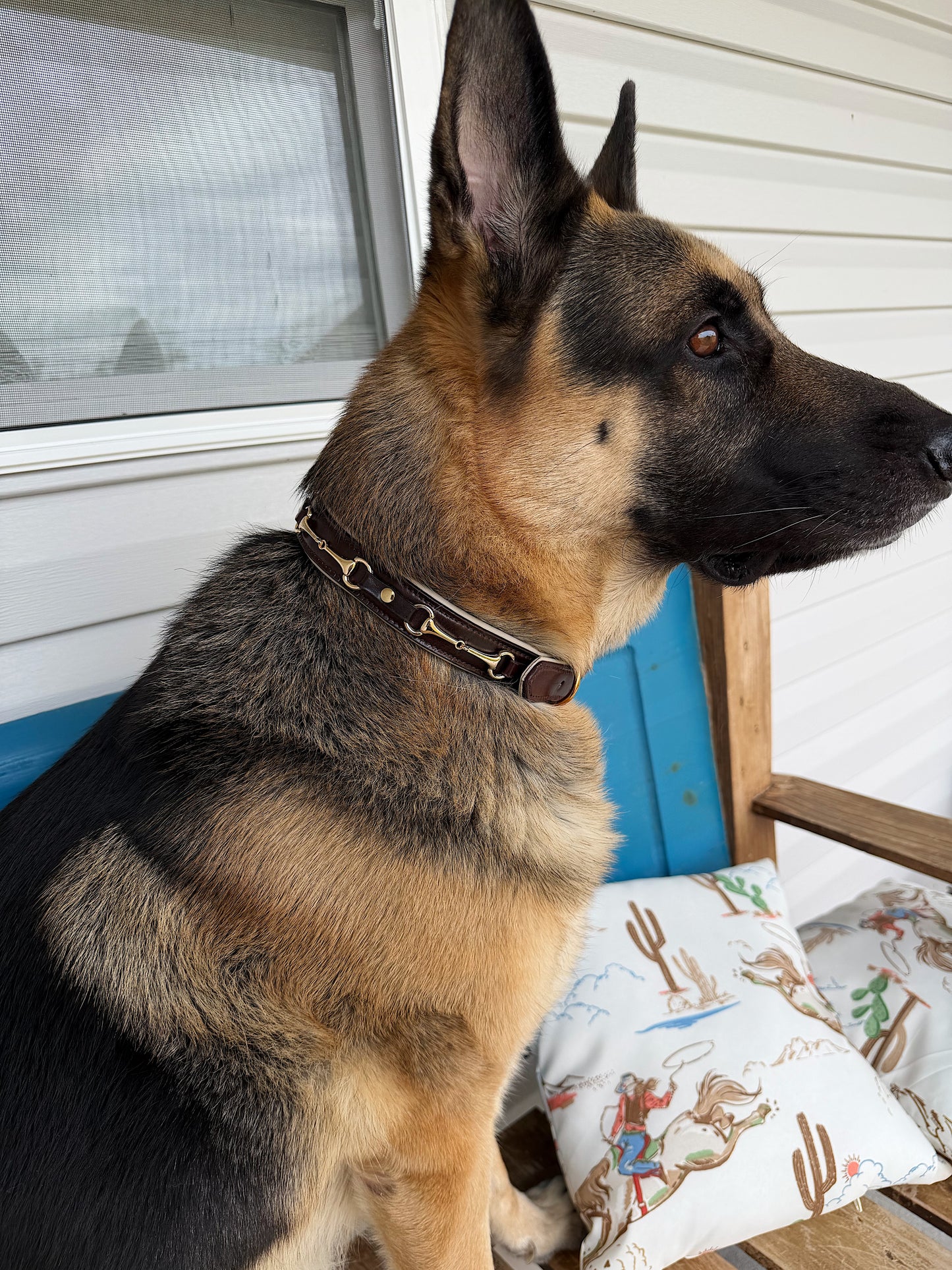 Snaffle Bit Dog Collar