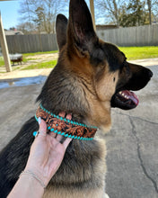 Load image into Gallery viewer, The Diesel Dog Collar
